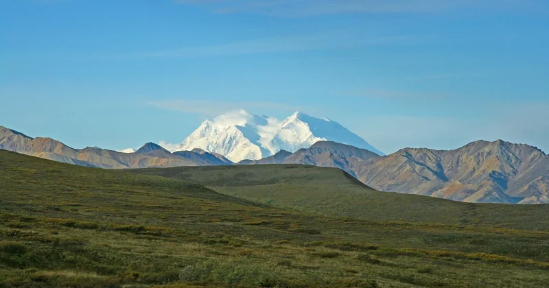 Denali, Wrangell-St. Elias, Kenai Fjords : comment choisir ?