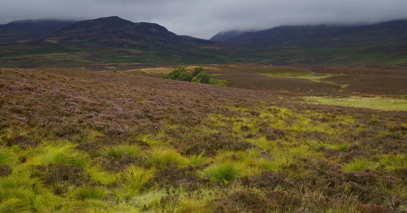 Les trésors cachés des Highlands (et comment y accéder vraiment)
