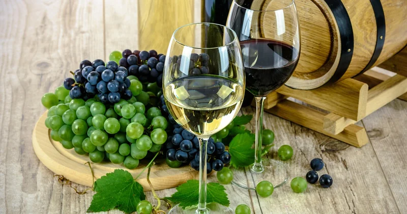 La route des vins de Bourgogne en 3 jours : un itinéraire qui tient debout